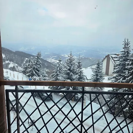 Hill Lux Apartment