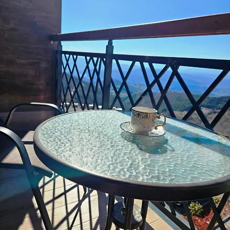 Hill Lux Apartment