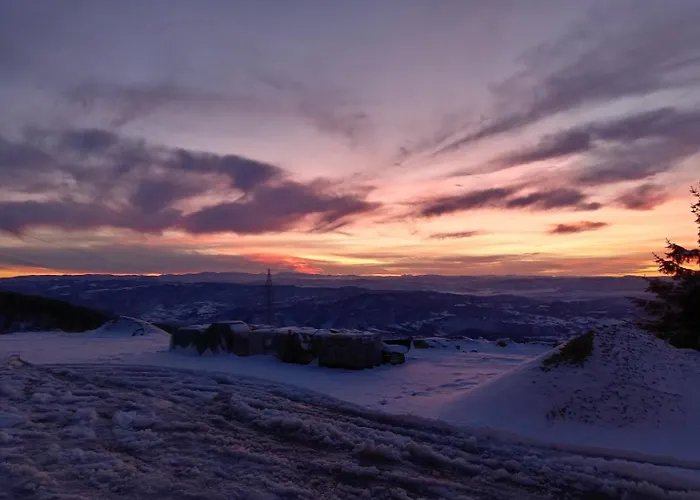 Hill Lux コパオニク